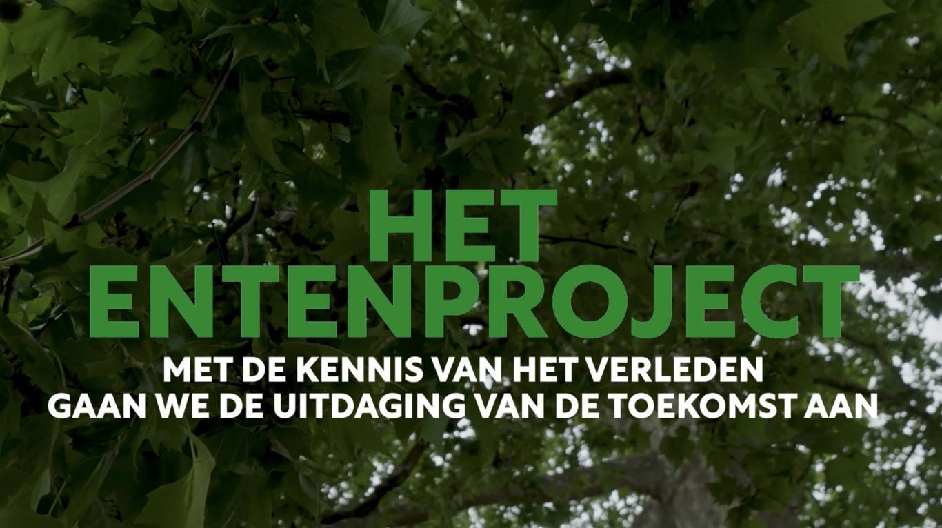 Het Entenproject